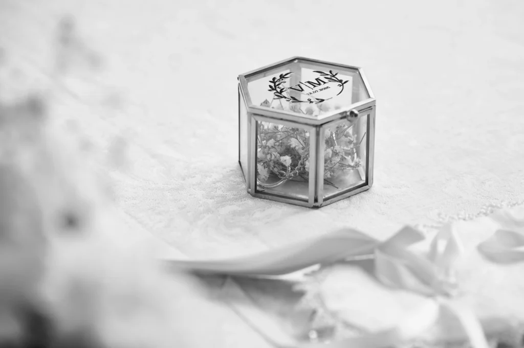 FOTOGRAFO MATRIMONIO DAVID ROZIC IN FRIULI UDINE GORIZIA